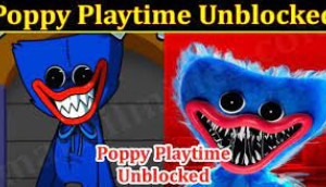 Poppy Playtime Game Play Online For Free